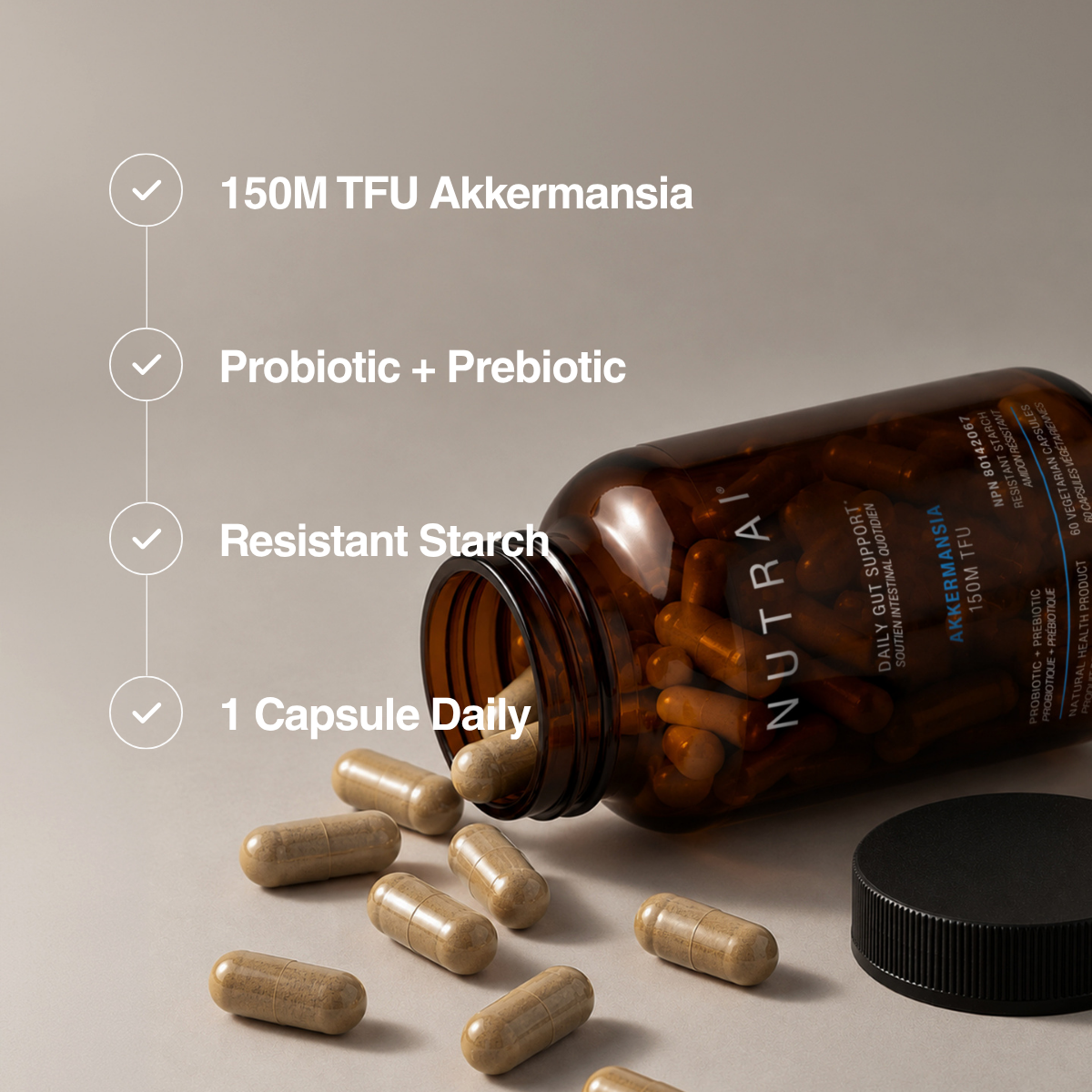 Nutrai Akkermansia Muciniphila Probiotic 150M TFU, 60 Vegetarian Capsules