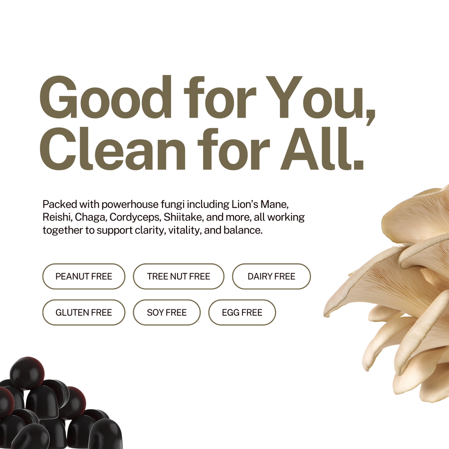 10-in-1 Mushroom Complex Blend