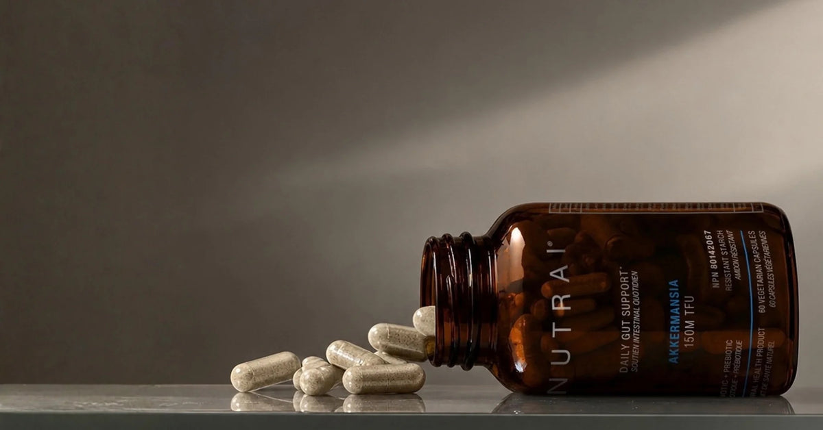 Nutrai Akkermansia capsules spilling from the bottle